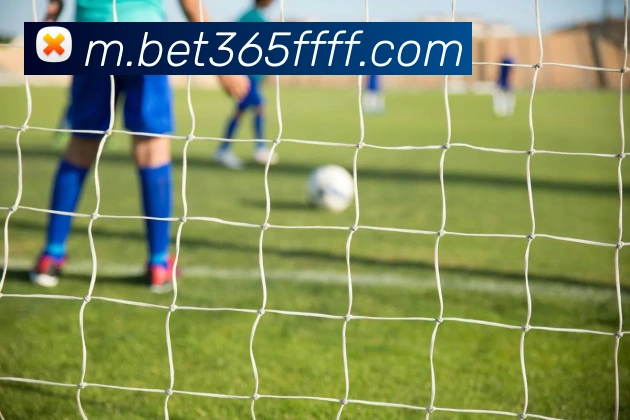 bet365中国官网全站App